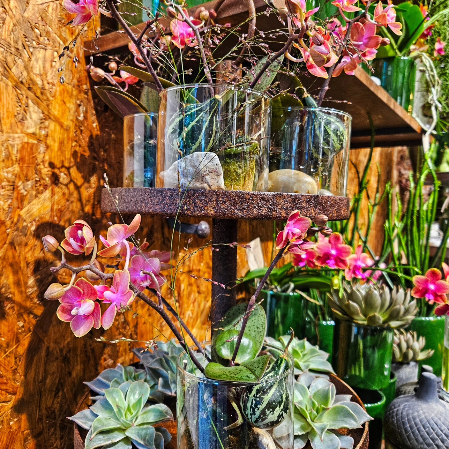 På jernhylder er sat glaskrukker med lyserøde og friske orkidéer.