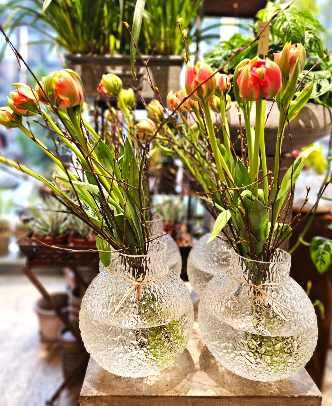 To små ovale glasvaser er arrangeret med bundter af tulipaner. 